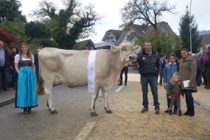 Vigor Viona Daniel Lustenberger Champion Malters